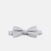 Pier One Uomo Papillon - Silver 1 Pier One Uomo Papillon - Silver -Offerta Economica Pier One 33df9757abae42409e96c0f510d014c0