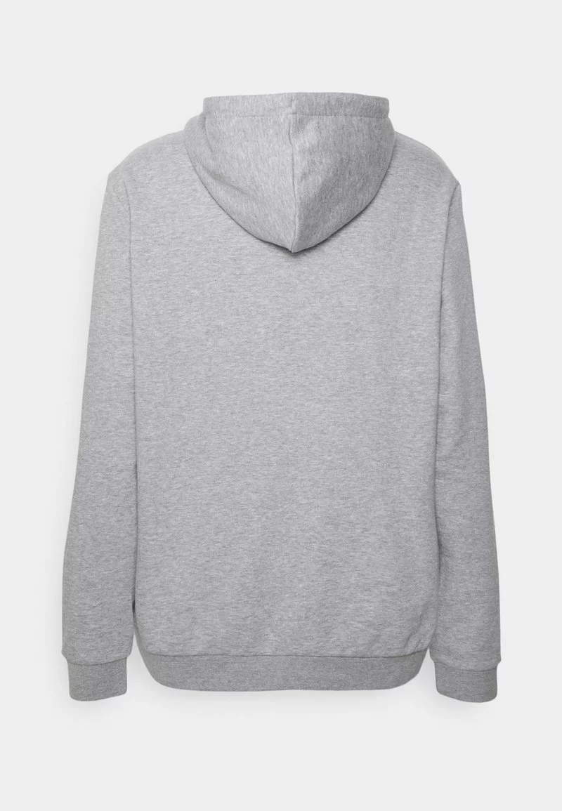 Pier One Uomo BIGBIG CORE SCRIPT HOODIE - Felpa Con Cappuccio - Mottled Grey 4 Pier One Uomo BIGBIG CORE SCRIPT HOODIE - Felpa Con Cappuccio - Mottled Grey - immagine 2